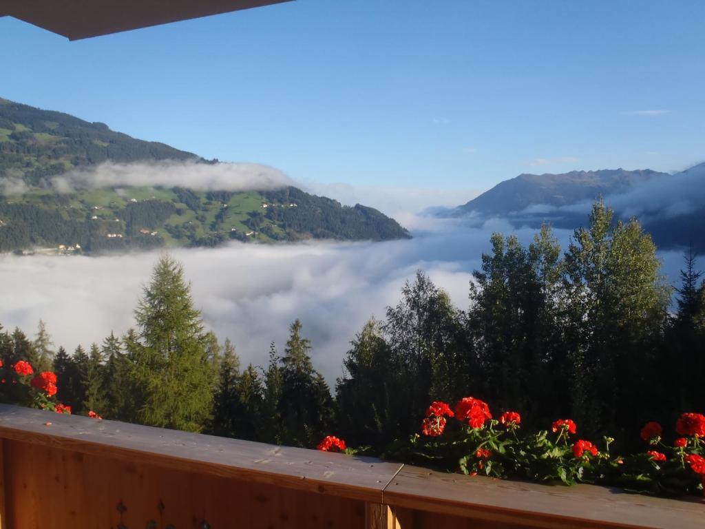 Landhaus Alpenjaeger Hainzenberg Quarto foto